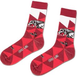 Bielizna: Skarpety Wysokie Unisex CUP OF SOX - Science Fishion Socks B Bordowy Kolorowy