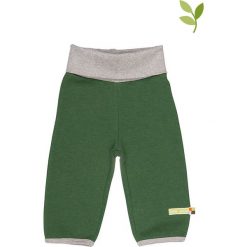 Spodnie niemowlęce: Spodnie w kolorze zielonym