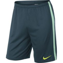 Spodenki i szorty męskie: Nike Spodenki męskie Squad Long Knit Nike zielone r. XXL (619225-483)