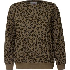 Bluza DEHA EASY. Pomarańczowe bluzy damskie Deha, bez wzorów, z bawełny, bez rękawów, bez kaptura. Za 410,00 zł.