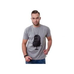 T-shirt Zblazowany Kanarek. Szare t-shirty męskie Piekuo, xl, z nadrukiem, z tkaniny, klasyczne, z okrągłym kołnierzem. Za 59,00 zł.