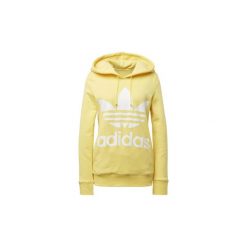 Bluzy damskie: Bluzy dresowe adidas Bluza z kapturem Trefoil