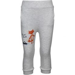 TXM SPODNIE NIEMOWLĘCE CHŁOPIĘCE DRES 92 JASNY SZARY MELANŻOWY. Szare spodnie niemowlęce TXM, bez wzorów, z dresówki. Za 14,99 zł.