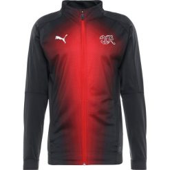 Koszulki sportowe męskie: Puma STADIUM JACKET Koszulka reprezentacji asphalt