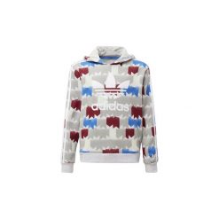Bluzy chłopięce: Bluzy Dziecko adidas Bluza z kapturem GRPHC