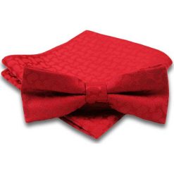 Czerwona Mucha w Paisley + Poszetka, Męska MUALTS0059. Czerwone muszki męskie Alties, na imprezę, w paski, eleganckie. Za 39,00 zł.