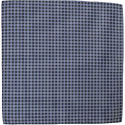 Stylowa, Męska Poszetka - Alties - Drobna, Niebieska Kratka POSZALTS0113. Niebieskie poszetki męskie Alties, w kratkę, z materiału, eleganckie. Za 16,90 zł.