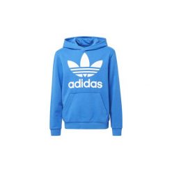 Bluzy chłopięce: Bluzy dresowe Dziecko adidas Bluza z kapturem Trefoil