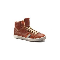 Buty Dziecko GBB ANGELO. Pomarańczowe trampki chłopięce marki GBB, bez wzorów, bez zapięcia. Za 351,20 zł.