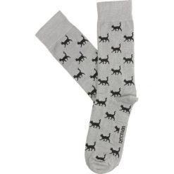 Skarpety cats szary. Szare skarpetki męskie marki Recman, bez wzorów. Za 19,00 zł.