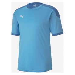Puma Teamfinal 21 Training Koszulka Niebieski. Niebieskie podkoszulki męskie Puma, m, bez wzorów, z poliesteru, z krótkim rękawem. Za 171,95 zł.