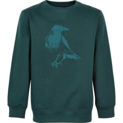 Bluza w kolorze zielonym. Zielone bluzy chłopięce rozpinane MeToo, z aplikacjami, z bawełny. W wyprzedaży za 72,95 zł.
