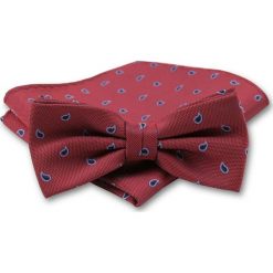 Elegancka Mucha Męska - Alties -Czerwień, Wzór Paisley MUALTS0132. Czerwone muszki męskie Alties, na imprezę, w paski, eleganckie. Za 39,00 zł.