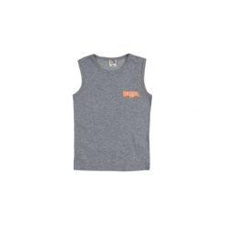 T-shirty chłopięce: t-shirt bez rękawów chłopięcy z nadrukiem