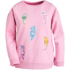 Bluzy dziewczęce: Bluza z nadrukiem dla dziewczynki 9-13 lat