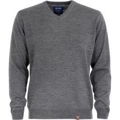 T-shirty męskie: Sweter męski