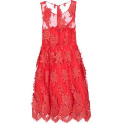 Sukienki: Studio 75 YASMANNY Sukienka koktajlowa poppy red