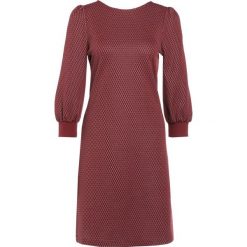 Sukienki hiszpanki: MAX&Co. CONTE Sukienka letnia burgundy