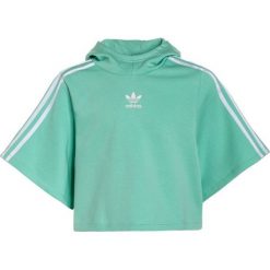 Adidas Originals Bluza z kapturem easy green/white. Zielone bluzy chłopięce marki adidas Originals, z bawełny, z kapturem. W wyprzedaży za 161,10 zł.