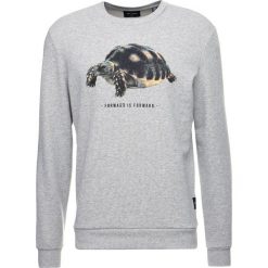 Bejsbolówki męskie: Only & Sons ONSANIMAL CREW NECK Bluza light grey melange
