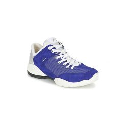 Buty Geox SFINGE A. Trampki i tenisówki damskie Geox. Za 341,40 zł.