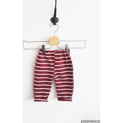 Spodnie burgund stripes. Czerwone spodnie niemowlęce Pakamera, z bawełny, długie. Za 60,00 zł.