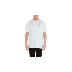 T-shirty z krótkim rękawem Franklin Marshall TSMF363ANS19. Szare t-shirty męskie Franklin Marshall, m, bez wzorów, bez kołnierzyka, krótkie. Za 219,57 zł.