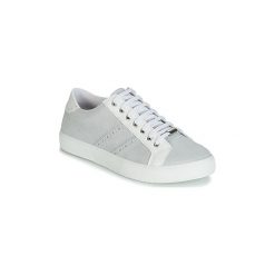 Buty André BERKELEY. Szare trampki i tenisówki damskie Andre, bez wzorów, bez zapięcia. Za 239,20 zł.