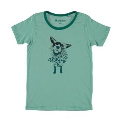 T-shirty chłopięce z nadrukiem: Koszulka „Rozenzo” w kolorze miętowym