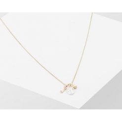 Naszyjniki damskie: Pilgrim FORTUNE NECKLACE LOVE Naszyjnik goldcoloured