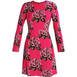 Odzież damska: Hobbs BEA Sukienka letnia magenta multicoloured