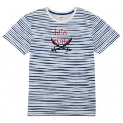T-shirty męskie: T-shirt w paski męski