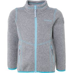 Icepeak TEA Kurtka z polaru light grey. Szare kurtki sportowe damskie marki Icepeak, z poliesteru, sportowe. Za 149,00 zł.