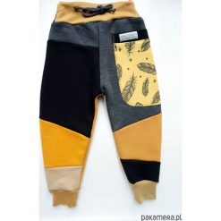 Patch Pants - ECO dres 104 - 152 cm piórka. Szare spodnie niemowlęce Pakamera, z dresówki. Za 109,00 zł.