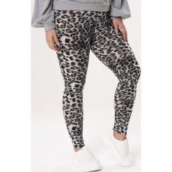 Szare Legginsy Extrospection. Szare legginsy damskie Born2be, xl, z aplikacjami, z dzianiny. Za 19,99 zł.