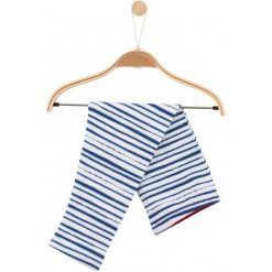 Legginsy w paski dla niemowlaka. Niebieskie spodnie niemowlęce Endo, w paski. Za 11,90 zł.