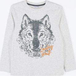 Coccodrillo - Longsleeve dziecięcy 128-164 cm. Brązowe t-shirty chłopięce COCCODRILLO, z nadrukiem, z dzianiny. Za 55,90 zł.