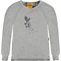 Bluzy niemowlęce: Bluza w kolorze szarym