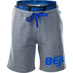 Spodenki chłopięce: BEJO Szorty juniorskie Grilo Kids Light Grey Melange/Princess Blue r. 128