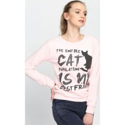 Bluzy damskie: Różowa Bluza Entire Cat