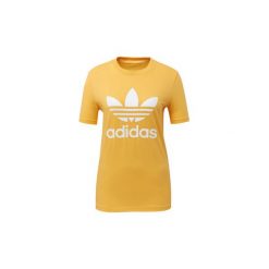 Bluzki, topy, tuniki: T-shirty z krótkim rękawem adidas Koszulka Trefoil