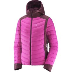 Salomon Salomon Kurtka zimowa puchowa damska Halo Down Rose Violet/Fig XS. Czerwone kurtki sportowe damskie Salomon, na zimę, xs, bez wzorów, z materiału, bez kaptura. W wyprzedaży za 799,00 zł.