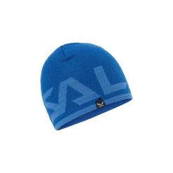Czapki Salewa Czapka Antelao Beanie 25080. Szare czapki męskie marki Salewa. Za 91,77 zł.