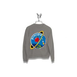 Bluza PRINCIPIA MISSION LOGO Męska. Szare bluzy męskie Failfake, xxl. Za 170,00 zł.