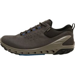 Buty trekkingowe męskie: ecco BIOM VENTURE Obuwie hikingowe grey