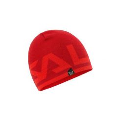 Czapki zimowe damskie: Czapki Salewa Czapka Antelao Beanie 25080-1581