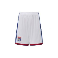 Spodenki dziewczęce: Szorty i Bermudy Dziecko adidas Szorty podstawowe Olympique Lyon