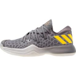 Buty damskie: adidas Performance HARDEN Obuwie do koszykówki grey five/grey two/grey one