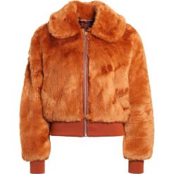Kurtki i płaszcze damskie: Tiger of Sweden MADIA Kurtka zimowa leather brown