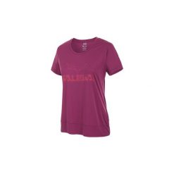 T-shirty damskie: T-shirty z krótkim rękawem Salewa Puez Mountain Dry W S/s Tee 25646-6520